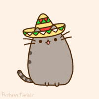 May 5Th Cinco De Mayo GIF by Pusheen