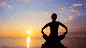 The Relaxation Response: A Simple Daily Practice to Reset Your Nervous System