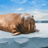 Post Your Breath Hold (Week 26: June 23rd 2025 - June 29th 2025)