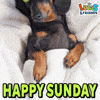 It’s Sunday!