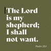 Read Psalm 23 together, then share one phrase that stands out.