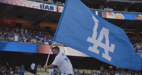 GIF from GIPHY