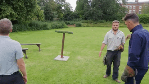 GIF from GIPHY