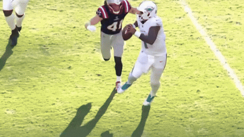 GIF from GIPHY