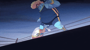 Wrestle Pro Wrestling GIF by Adult Swim