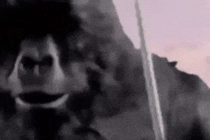 King Kong Gorilla GIF