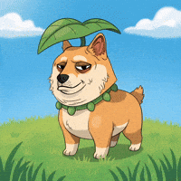 Standing Shiba Inu GIF by Doge Pound