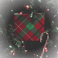 Christmas Tree GIF by Death Wish Coffee