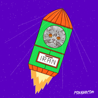 Animation Domination Cat GIF by gifnews