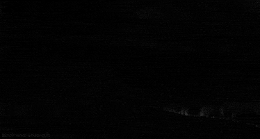 black and white moon GIF by Head Like an Orange