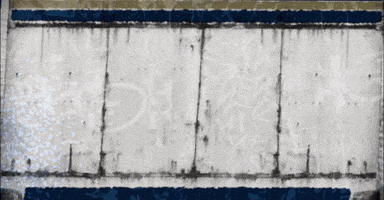 University Of Akron GIF by Akron Zips