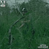 Catch It Get Ready GIF by Arrow Video