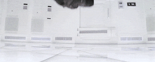 Tom Cruise GIF