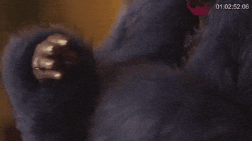 aint too cool music video GIF by LunchMoney Lewis 