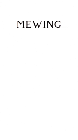 Giphy - Cat Sigma GIF
