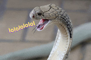 200.gif