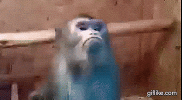 No Way Monkey GIF No Way Monkey GIF