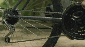 Mountain Bike Fall GIF by IFHT Films