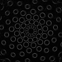 black and white circle GIF by Motion Addicts