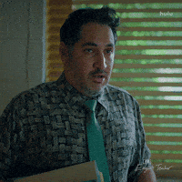 Fx Networks What GIF by English Teacher FX