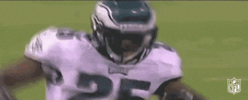 philadelphia eagles GIF by NFL