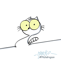 Cat Loop GIF by marko
