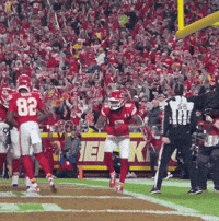 Deandre Hopkins Nfl GIF by Kansas City Chiefs