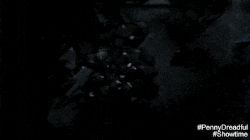 season 3 dreadfuls GIF by Showtime