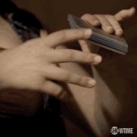 episode 1 showtime GIF by Shameless