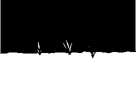 digital art animation GIF by mahmood