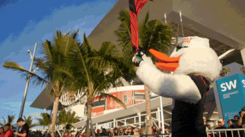college football GIF by Miami Hurricanes
