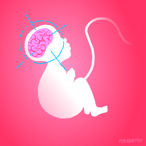 Ultimate Guide: Spaced Repetition Schedule
