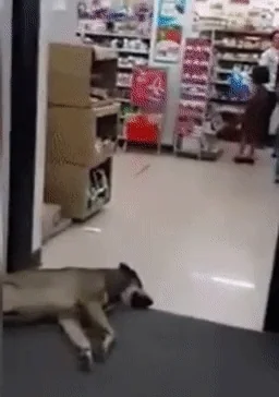 nap time GIF