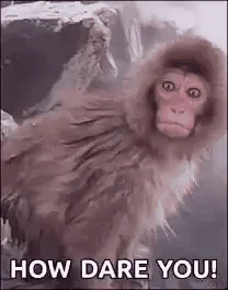 How Dare You GIF by moodman