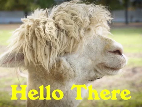 Its Me Hello GIF by Sealed With A GIF