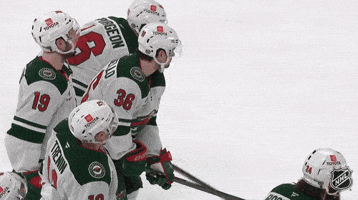 Happy National Hockey League GIF by NHL