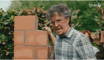 Eigen Kweek Vlaams GIF by GoPlay