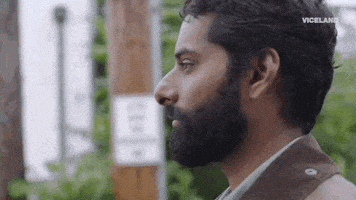 viceland GIF by WEEDIQUETTE