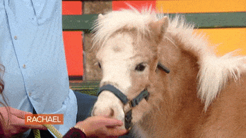 Food Love GIF by Rachael Ray Show