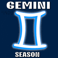 Happy Birthday GIF by Pudgy Penguins