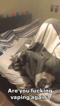 tim lol GIF by Digg