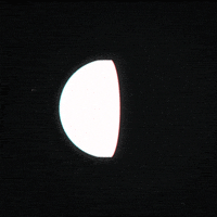 black and white gif artist GIF by Erica Anderson