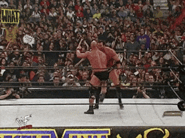 stone cold wrestling GIF by WWE stone cold wrestling GIF by WWE