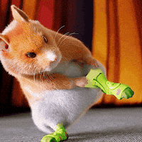 Dance Hamster GIF by Dedoles Dance Hamster GIF by Dedoles