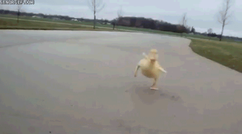 source.gif