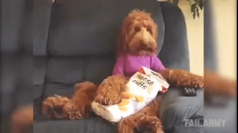 Bag Of Chips GIFs - Find & Share on GIPHY