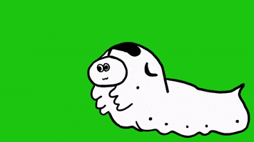 Silk Worm GIFs - Find & Share on GIPHY