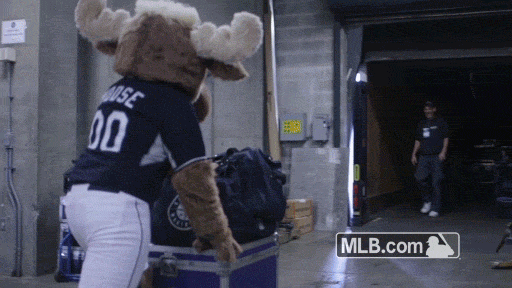Marinermoose GIFs - Find & Share on GIPHY