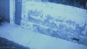 source.gif