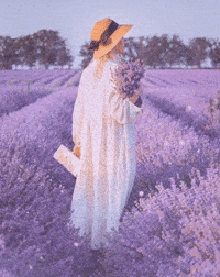 Lavender Blue GIFs - Find & Share on GIPHY
